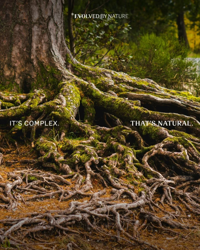 Building a sustainable future means working with ecosystems — not against them — to meet our needs in a way that’s genuinely nature-positive.

It’s not easy. In fact, it runs counter to how most things are generally done. But it’s entirely possible. Especially if you love all of the amazing complexities that exist within nature. ⁠

We certainly do. We look deep inside natural, renewably sourced silk protein to find a vast array of incredibly powerful peptides. Nature has already done the hard work — we simply unlock it, using these peptides to help brands create products that are both more natural and more effective.

Our ingredients are designed to replace petrochemicals, silicones, and other questionable synthetics, transforming how industries like fashion and skincare interact with people and the planet.

Our entire deal is based on nature’s complexity, and we wouldn’t have it any other way. ⁠

#cleanbeauty #cleanskincare #crueltyfree #crueltyfreebeauty #greenbeauty #healthyskin #naturalbeauty #naturalskincare #nontoxicbeauty #healthandwellness #skincare #skincareaddict #skincareluxury #skincaretips #skincarelover